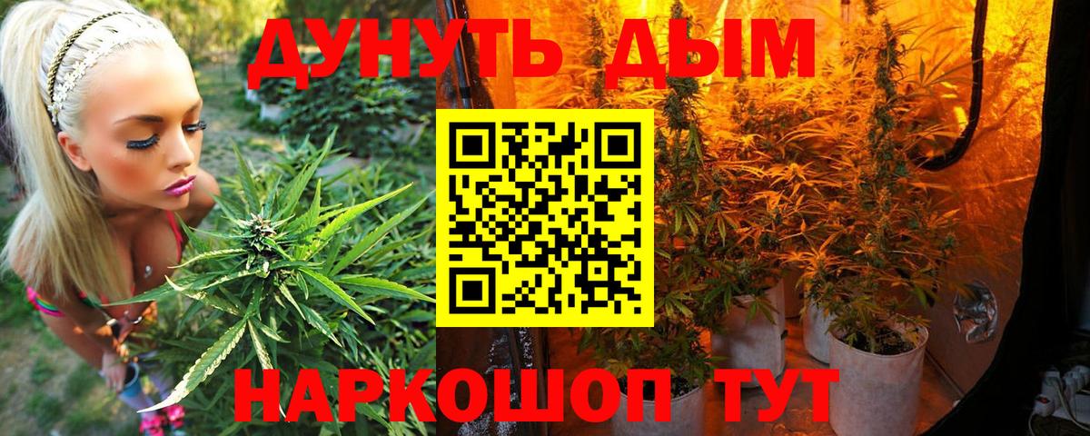 Канабис планчик  Бошки Шишки гибрид  Вход с VPN  Бошки марихуана THC 21%  Канабис AK-47  Губкинский 